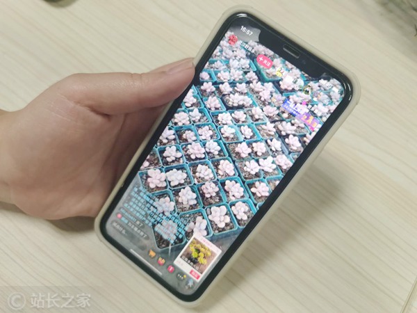 直播带货2