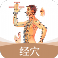 经络穴位艾灸大夫app手机版