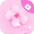 桃花视频播放器app软件官方 1.4